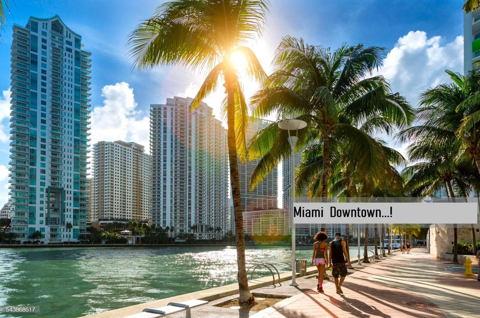 Experience The Perfect Miami Life!! Centrally Located Luxury Condo! 外观 照片